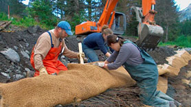 Volunteers help with staking at Eyak Lake