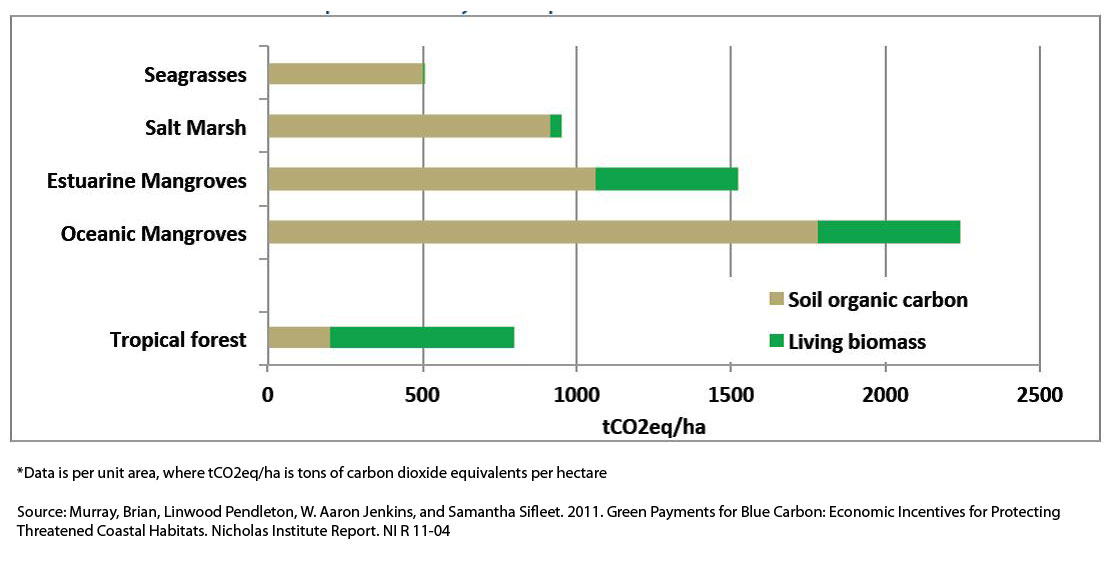 Explainer 10 Ways Negative Emissions Could Slow Climate