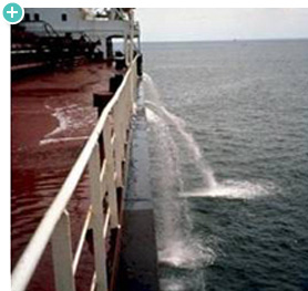 Credit: Smithsonian Environmental Research Center Marine Invasive Laboratory