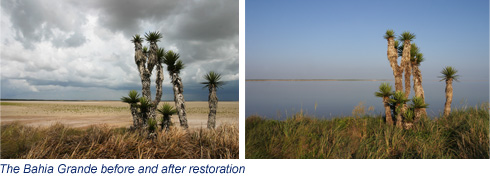 The Bahia Grande after restoration