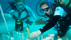 NOAA staff observe coral nurseries in the Florida Keys