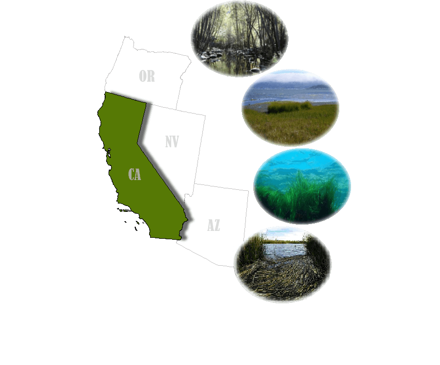 California Wetland Types