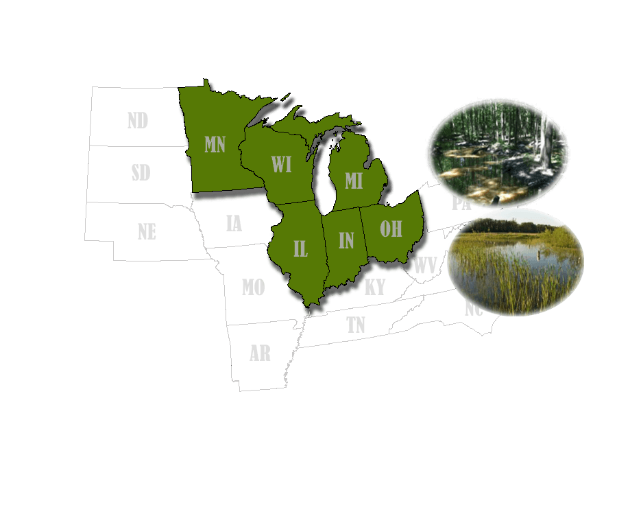Great Lakes Wetland Types