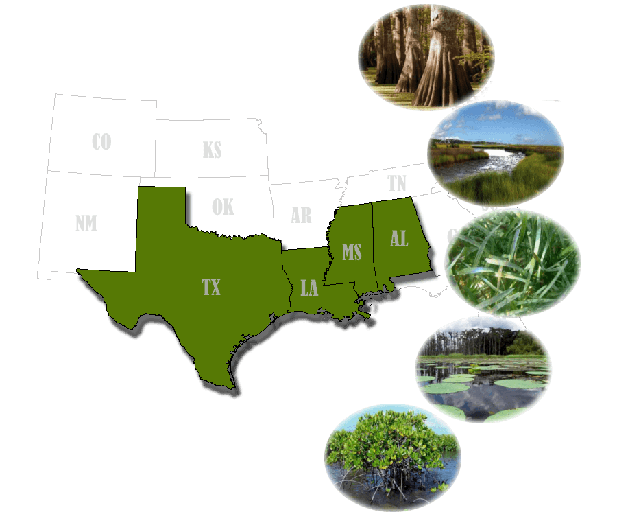 Gulf of Mexico Wetland Types