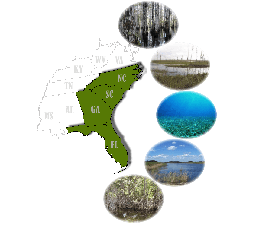 South Atlantic Wetland Types